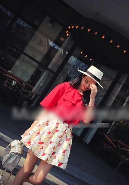 小鳥印花蓬蓬裙百褶裙甜美短裙